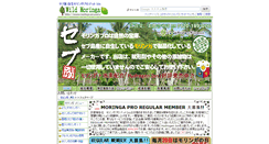 Desktop Screenshot of moringa-pro.com